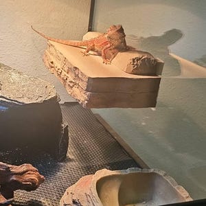 Quinton hat ein Foto des gekauften Artikels hinzugefügt