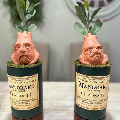 Realistic Mandrake Label Printable Sticker Prop Potter Etsy Realistic Mandrake Label Printable Sticker Prop Potter Etsy