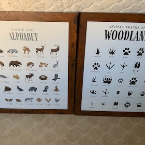 Animal Tracks Print - Little Folk Printables