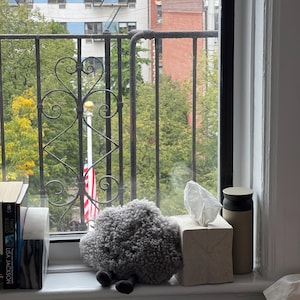 Etsy buyer added a photo of their purchase