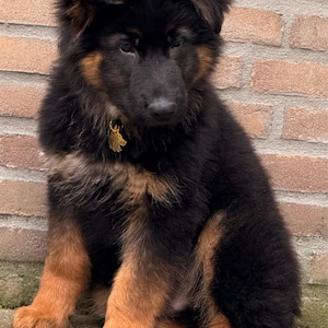 Juul added a photo of their purchase