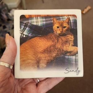Von さんが購入した商品の写真を追加しました