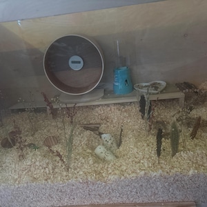 Nakia added a photo of their purchase