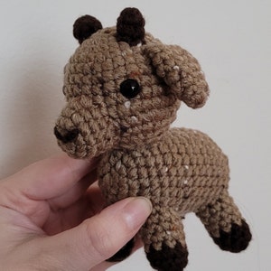 Lianna added a photo of their purchase