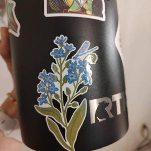 molly added a photo of their purchase