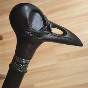 Spencer added a photo of their purchase