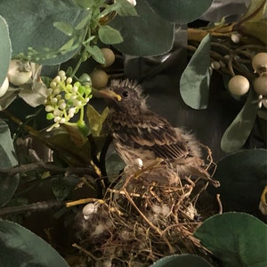 Angela added a photo of their purchase