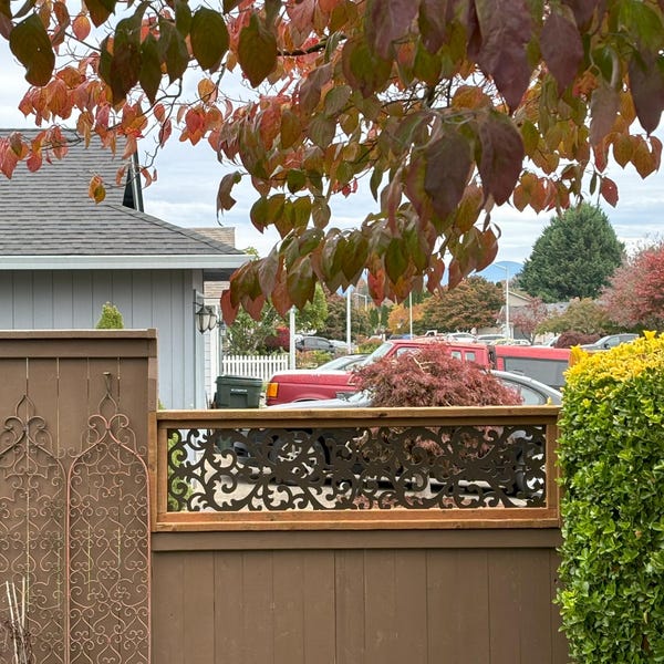 Metal Privacy Screen Outdoor Design Metal Wall Art Canadian Maple ...