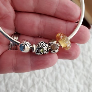 Jill added a photo of their purchase