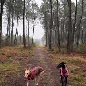 Virginie added a photo of their purchase
