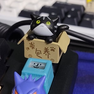 Dante added a photo of their purchase