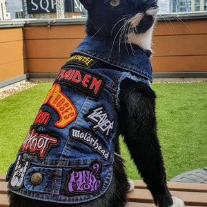 Cat battle deals vest