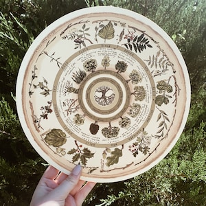 Robyn added a photo of their purchase