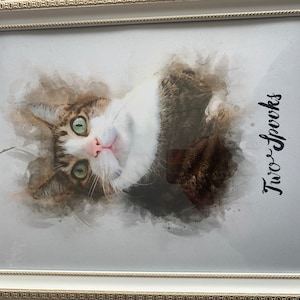 Massaran added a photo of their purchase