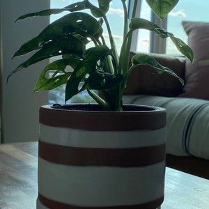Oblio added a photo of their purchase