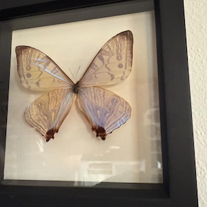 Brianna added a photo of their purchase