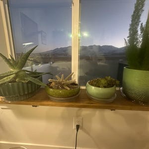 Todd added a photo of their purchase