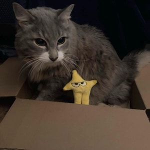 Jack added a photo of their purchase