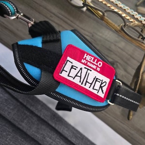 colleen added a photo of their purchase