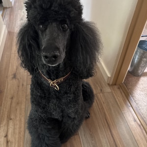 Linda added a photo of their purchase