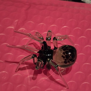 Shelby added a photo of their purchase