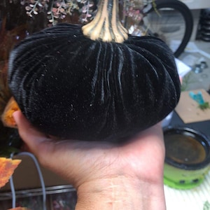 Kristine added a photo of their purchase