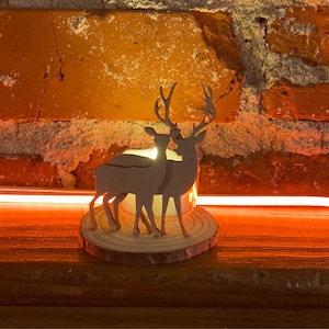 Susanna added a photo of their purchase