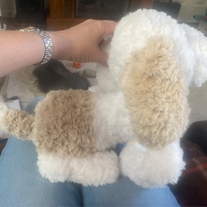 Cindy さんが購入した商品の写真を追加しました