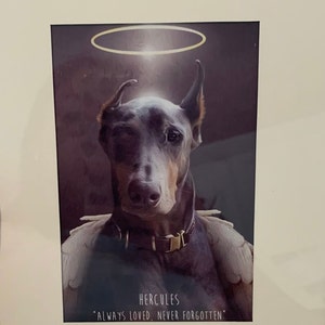 Marina adicionaram uma foto da sua compra