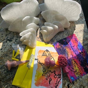 Taylor hat ein Foto des gekauften Artikels hinzugefügt