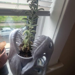Holly added a photo of their purchase