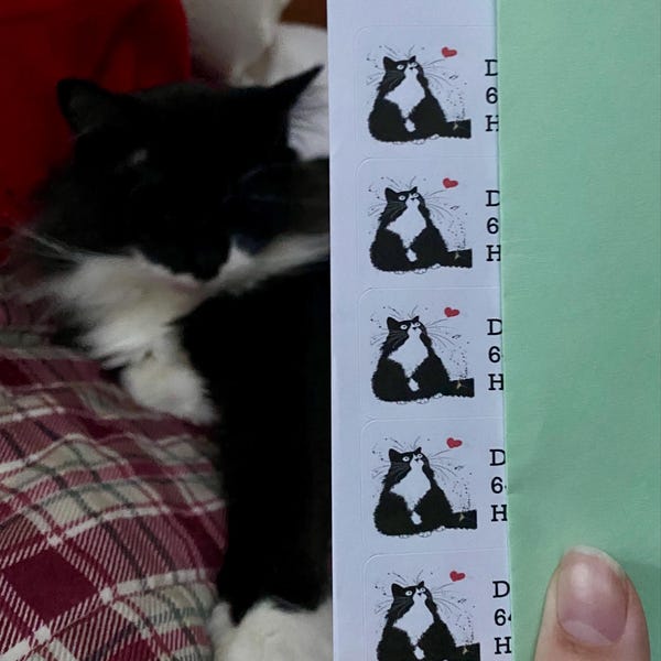 30 Personal Address Labels Abstract Cat (jx 781) - Etsy