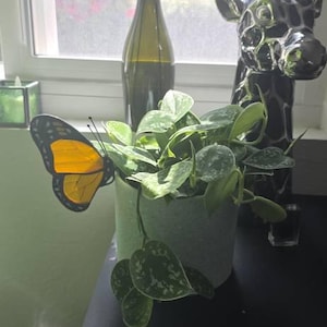 Sohini added a photo of their purchase