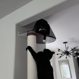 Victoria added a photo of their purchase