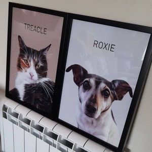 Holly added a photo of their purchase