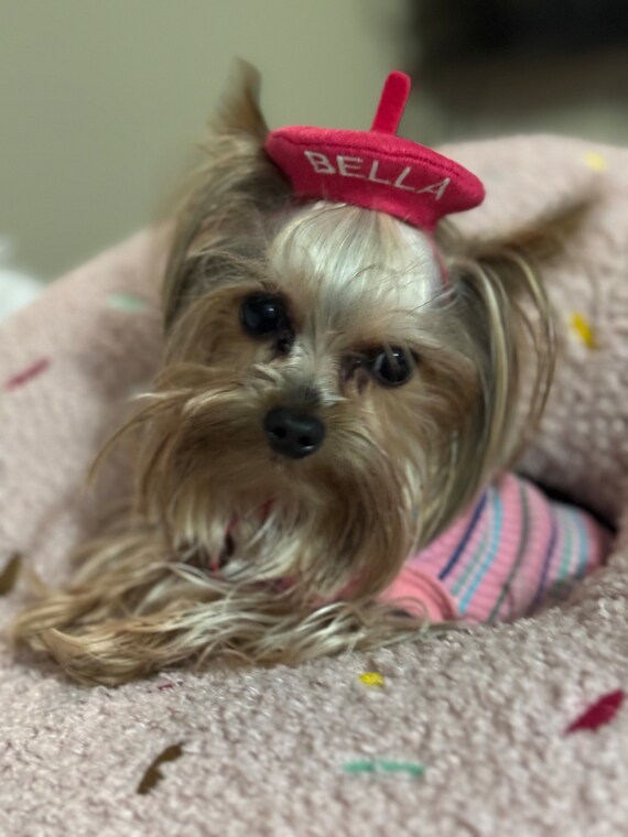 Customer photo of a pet with the Beret Personalized for small pet Raspberry