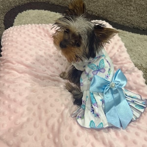 Donna added a photo of their purchase