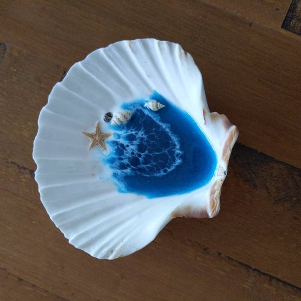 Made in Hawaii Ocean Shell Ring Dish | Jewelry Dish Maui Made | Beach ...