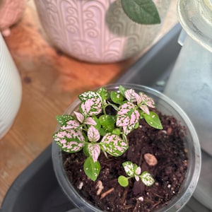 Cindy added a photo of their purchase