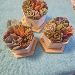 Jennifer added a photo of their purchase