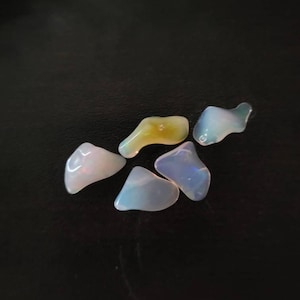Kathleen added a photo of their purchase