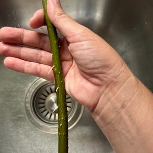 Comprador de Etsy ha añadido una foto de su compra