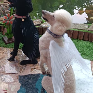 Karen added a photo of their purchase