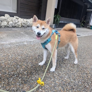 Jaja added a photo of their purchase