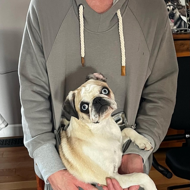Sweat à Capuche Femme Avec Poche Kangourou Pour Chat/chien - Pull De Transport Animal, Doux Et Confortable