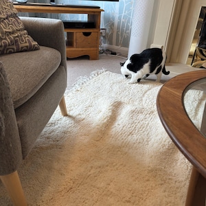 Gill added a photo of their purchase