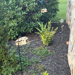 Susan added a photo of their purchase