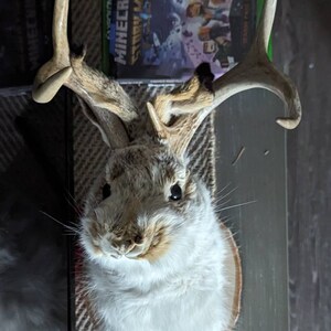 c added a photo of their purchase