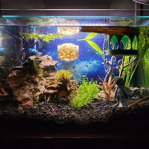 Linda added a photo of their purchase