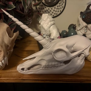 Pattie さんが購入した商品の写真を追加しました